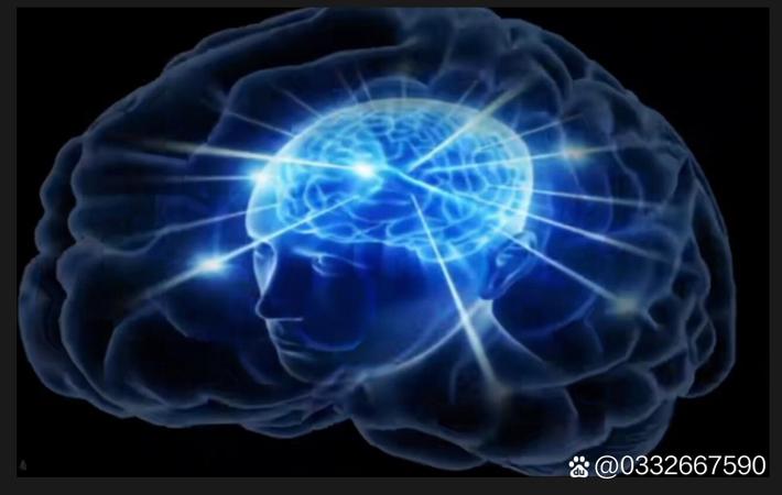 91爆料 - 多地高考成绩被质疑造假,教育部紧急回应:已成立专项调查组 91爆料社会面 - 多地高考成绩被质疑造假,教育部紧急回应:已成立专项调查组